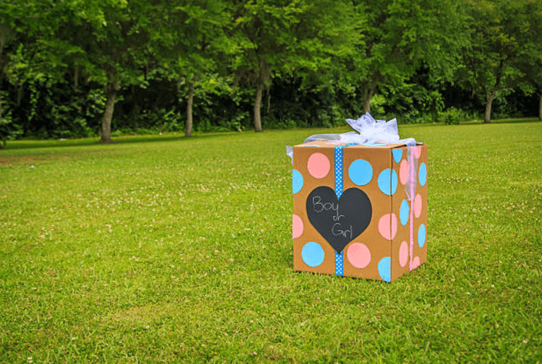 Expectant single mum ‘heartbroken’ as no-one turns up for her gender reveal party Expectant single mum ‘heartbroken’ as no-one turns up for her gender reveal party