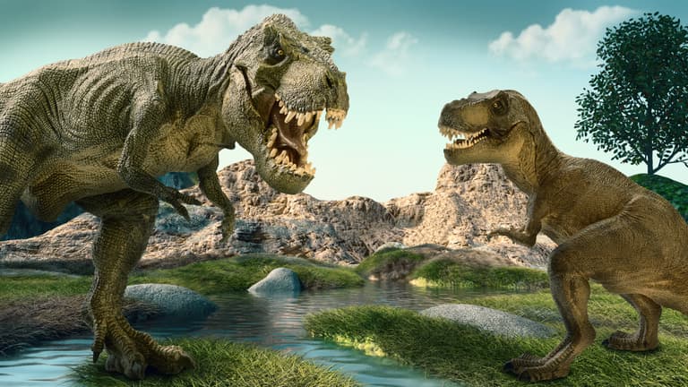 Fancy visiting Jurassic Park? Walking With Dinosaurs is coming to Dublin Fancy visiting Jurassic Park? Walking With Dinosaurs is coming to Dublin