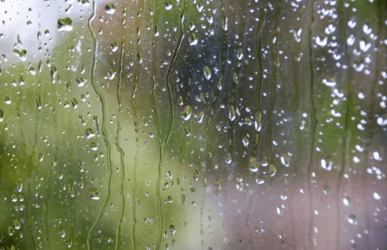 The weather forecast for today is looking as bleak as ever The weather forecast for today is looking as bleak as ever