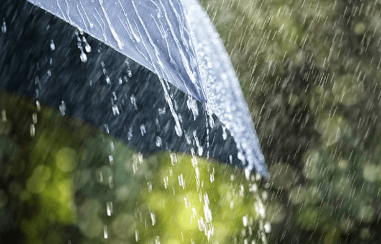 The weather forecast shows that we’re in for a day full of rain and thunder The weather forecast shows that we’re in for a day full of rain and thunder
