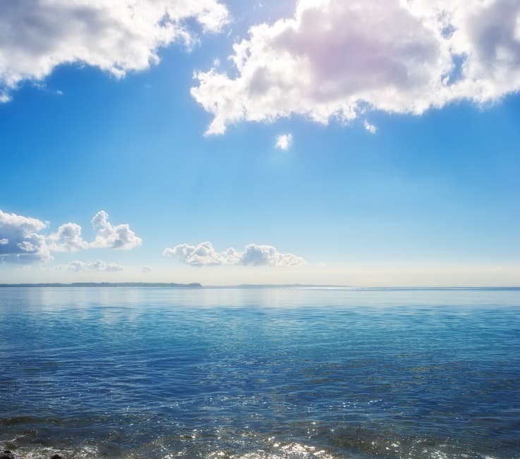 Ireland to become first EU country to ban microbeads in shower gels, scrubs, and cleaners Ireland to become first EU country to ban microbeads in shower gels, scrubs, and cleaners