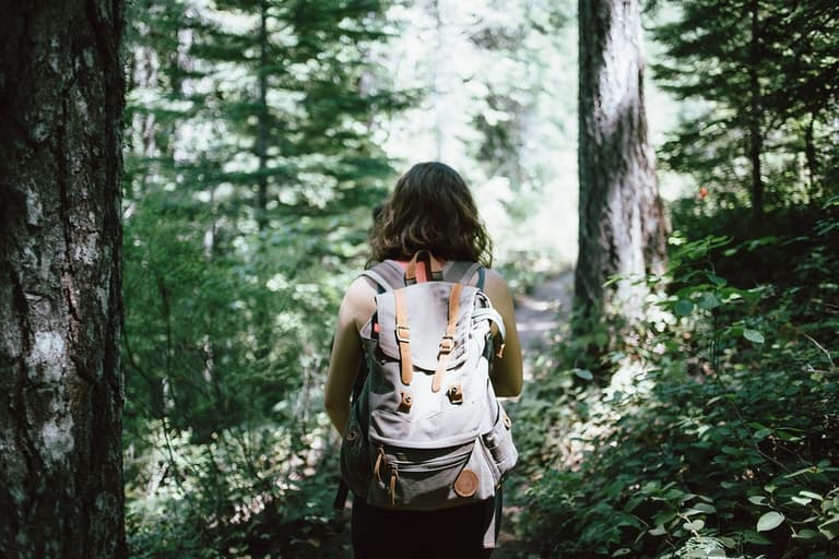 Dutch have a tradition where teens are left in the woods to find their way home Dutch have a tradition where teens are left in the woods to find their way home