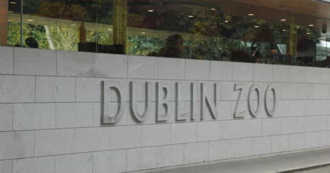 Dublin Zoo are offering half price on adult tickets until the end of 2019 Dublin Zoo are offering half price on adult tickets until the end of 2019