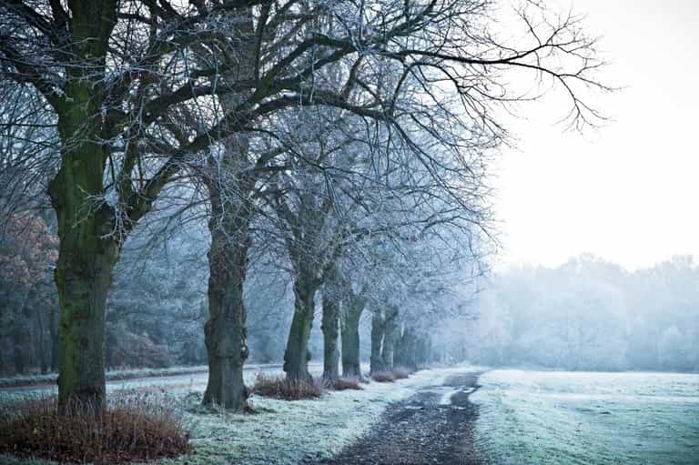 According to Met Eireann, temperatures are set to drop as low as -1C this week According to Met Eireann, temperatures are set to drop as low as -1C this week