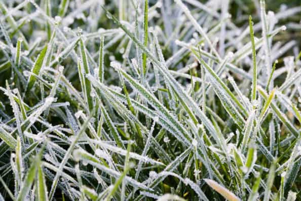 Met Éireann issue wind warning for Donegal ahead of nationwide ‘freezing fog’ next week Met Éireann issue wind warning for Donegal ahead of nationwide ‘freezing fog’ next week