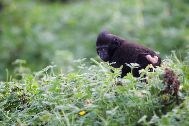 Dublin Zoo have launched an incredible date package for Valentine’s Day weekend Dublin Zoo have launched an incredible date package for Valentine’s Day weekend