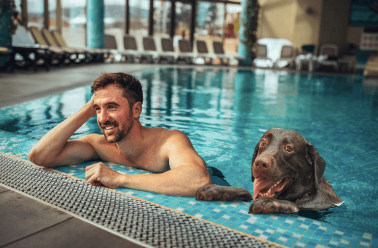 You can now go on a spa day with your dog in the UK and sorry, imagine You can now go on a spa day with your dog in the UK and sorry, imagine