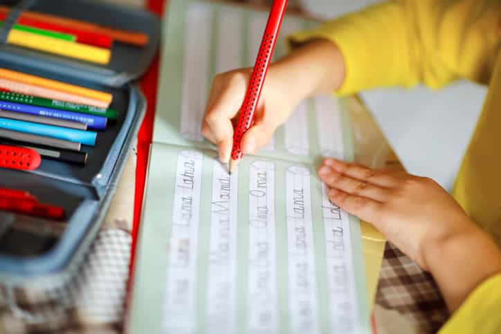 The Green Party has proposed removing homework in primary schools The Green Party has proposed removing homework in primary schools
