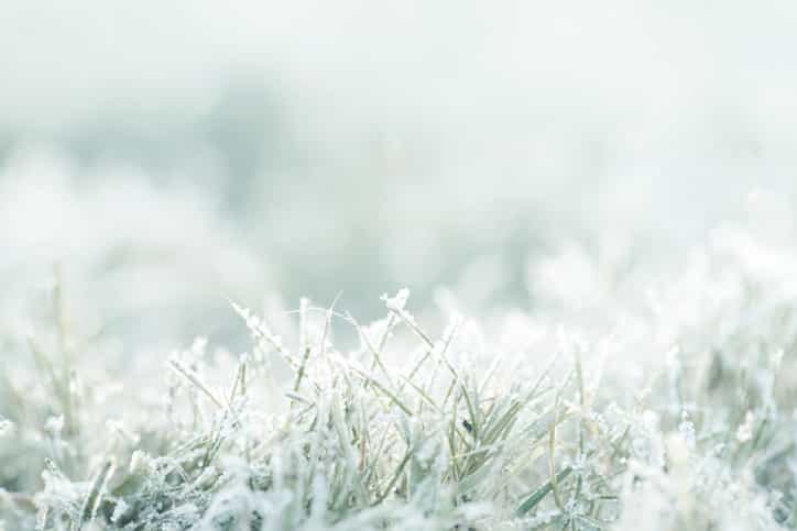 Temperatures to drop to -3 but plenty of dry weather ahead Temperatures to drop to -3 but plenty of dry weather ahead