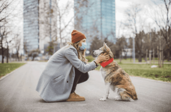 Myths and misinformation: Should I be worried about my pet during #Covid-19? Myths and misinformation: Should I be worried about my pet during #Covid-19?