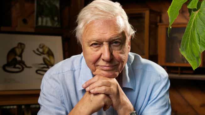 David Attenborough to teach kids geography in BBC’s online classes programme David Attenborough to teach kids geography in BBC’s online classes programme