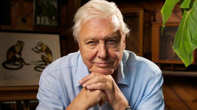 David Attenborough to teach kids geography in BBC’s online classes programme David Attenborough to teach kids geography in BBC’s online classes programme