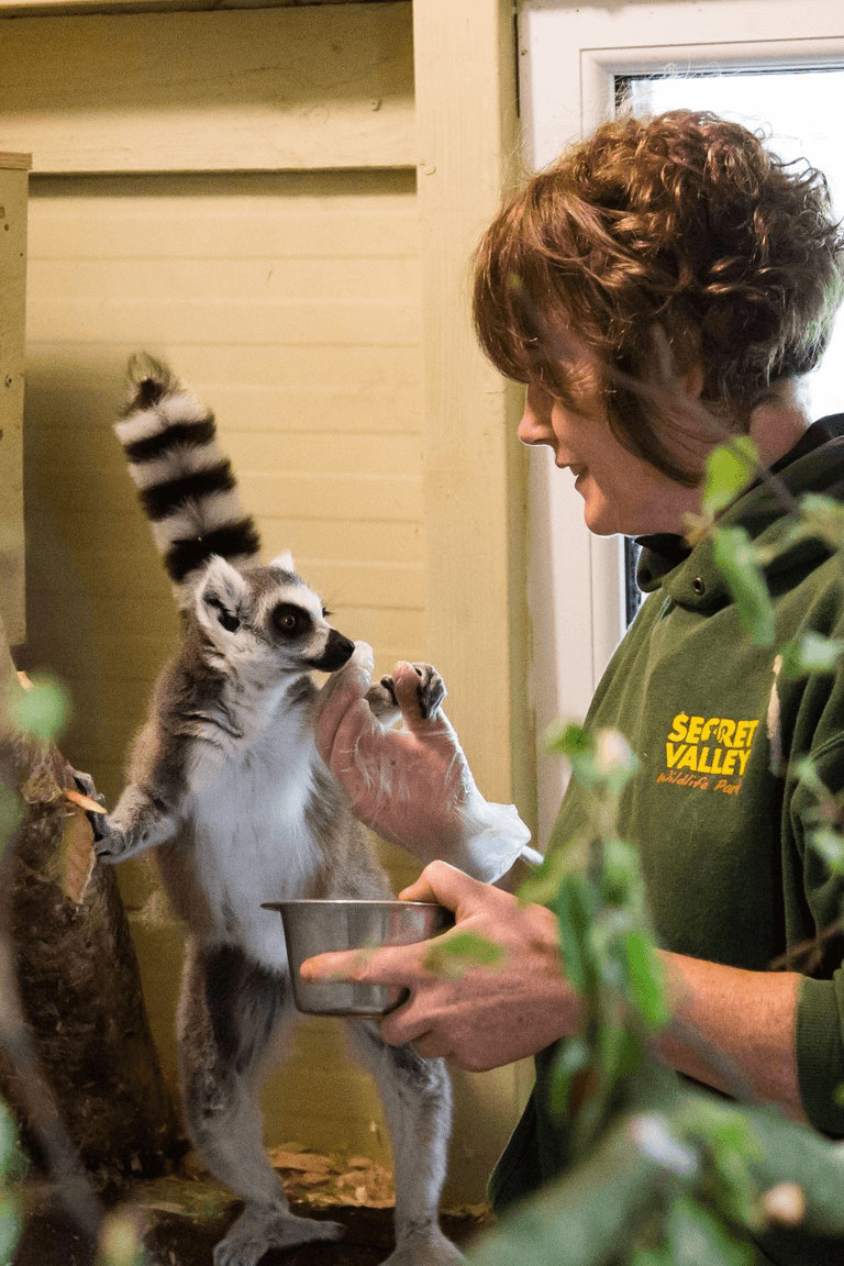 Secret Valley put out emergency appeal to help feed and shelter Exotic Wildlife Secret Valley put out emergency appeal to help feed and shelter Exotic Wildlife