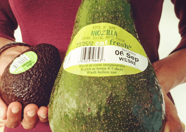 Smashing: Giant ‘Avozillas’ are back in Tesco from today Smashing: Giant ‘Avozillas’ are back in Tesco from today