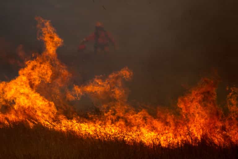 Gender reveal party triggers wildfire spanning 7,000 acres in California Gender reveal party triggers wildfire spanning 7,000 acres in California