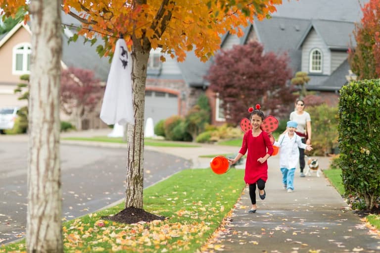 Be wary of cannabis jelly sweets this Halloween, FSAI warns parents Be wary of cannabis jelly sweets this Halloween, FSAI warns parents