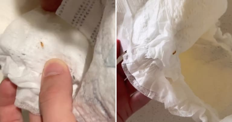 “What the F is this”: Mum claims to have found maggot in unused nappy “What the F is this”: Mum claims to have found maggot in unused nappy