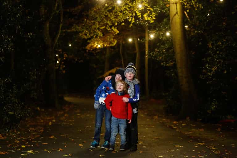 Illuminated free family forest walks in Marlay Park & Cabinteely Park to remain open Illuminated free family forest walks in Marlay Park & Cabinteely Park to remain open