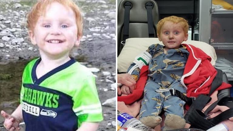 Young boy who went missing in the wilderness found alive Young boy who went missing in the wilderness found alive