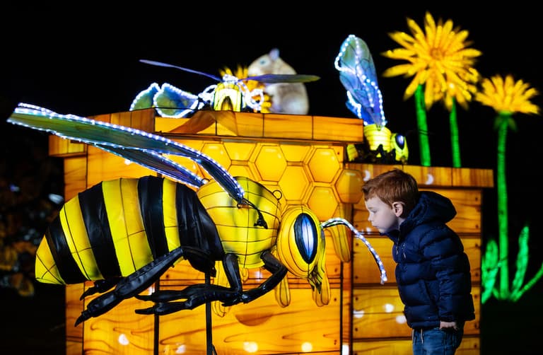 Dublin Zoo reveals the theme for Wild Lights 2022 Dublin Zoo reveals the theme for Wild Lights 2022
