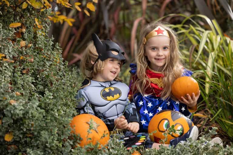 Planning a pumpkin patch trip? One is opening in Liffey Valley Planning a pumpkin patch trip? One is opening in Liffey Valley
