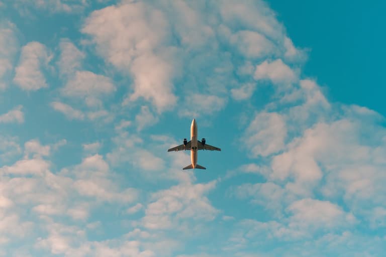 Three children and a baby found alive 17 days after plane crash Three children and a baby found alive 17 days after plane crash