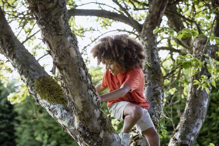 The importance of ‘risky play’ and why expert says ‘parents should back off a bit’ The importance of ‘risky play’ and why expert says ‘parents should back off a bit’
