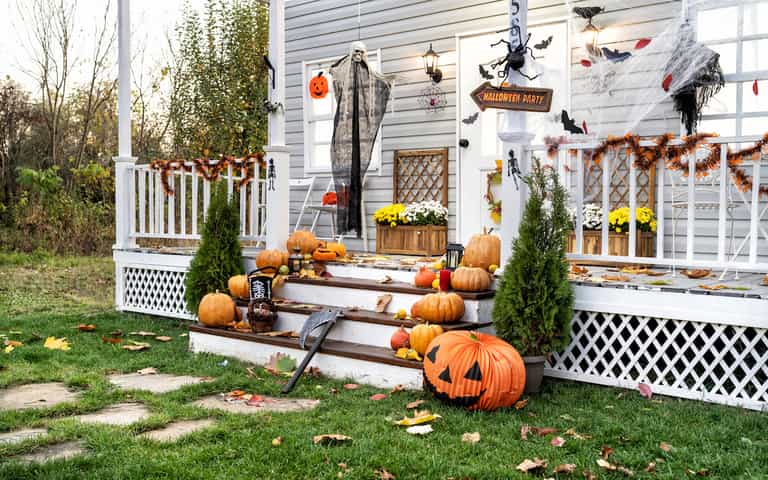 Parents urged to stop using fake spiderwebs as Halloween decorations Parents urged to stop using fake spiderwebs as Halloween decorations