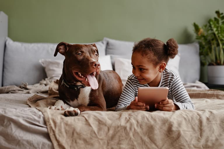 Parents urged to be vigilant to keep children safe online this Christmas Parents urged to be vigilant to keep children safe online this Christmas