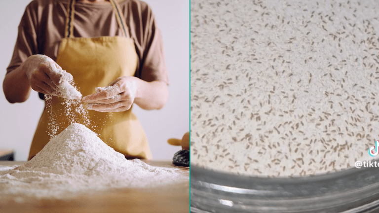 This is why flour should be kept in the freezer instead of cupboards This is why flour should be kept in the freezer instead of cupboards