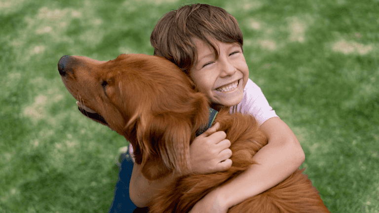 Six questions to ask yourself before introducing a dog into the family home Six questions to ask yourself before introducing a dog into the family home