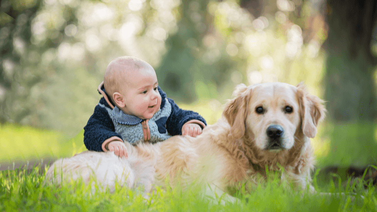How to prepare your dog for welcoming a new baby How to prepare your dog for welcoming a new baby