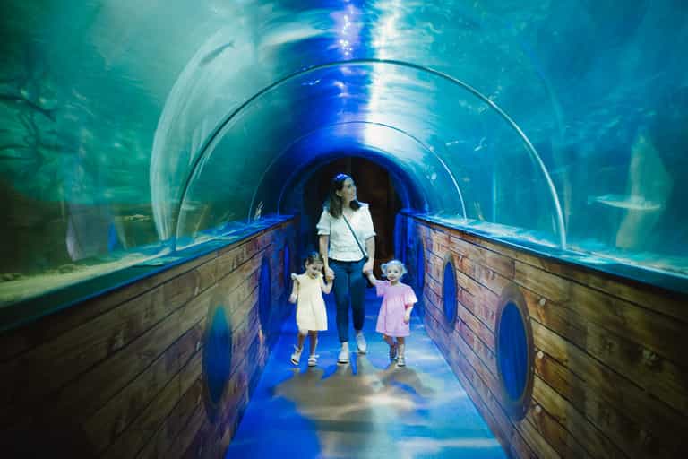 Zoos, farms and wildlife experiences – 15 Daycation ideas your family will love Zoos, farms and wildlife experiences – 15 Daycation ideas your family will love