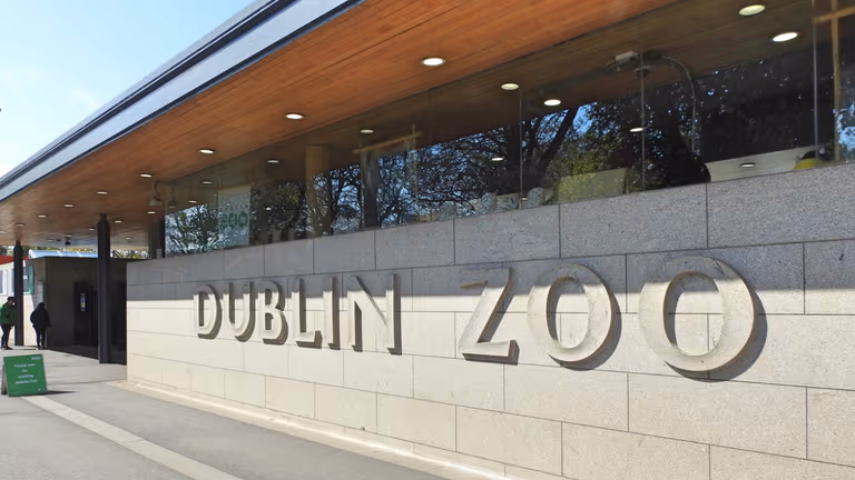 Everything you need to know about Dublin Zoo’s free Halloween special for kids Everything you need to know about Dublin Zoo’s free Halloween special for kids