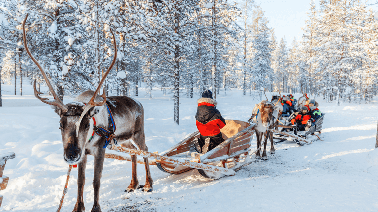 Christmas flights to Lapland are at risk, Michael O’Leary warns Christmas flights to Lapland are at risk, Michael O’Leary warns