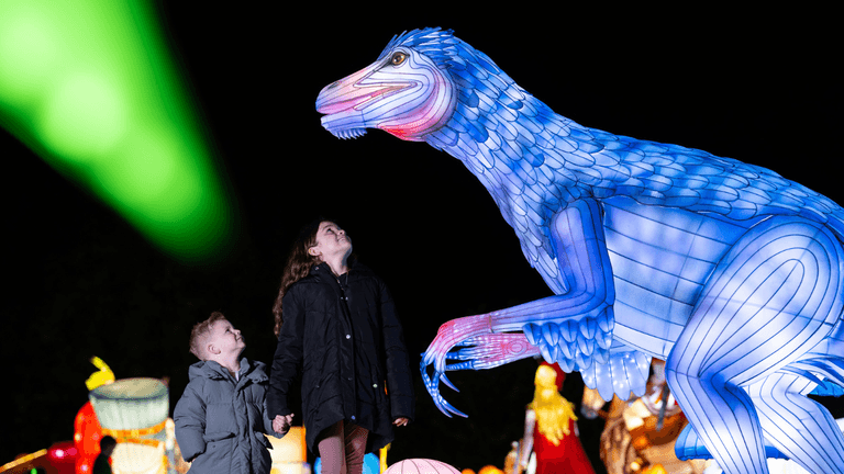 Dublin Zoo has revealed the theme for this year’s Wild Lights Dublin Zoo has revealed the theme for this year’s Wild Lights