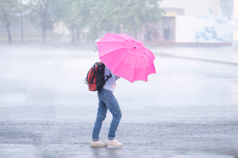 Status yellow warnings issued for seven counties as rain and wind sweep in Status yellow warnings issued for seven counties as rain and wind sweep in