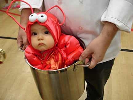10 adorable babies in costume that prove there is no such a thing as TOO CUTE 10 adorable babies in costume that prove there is no such a thing as TOO CUTE