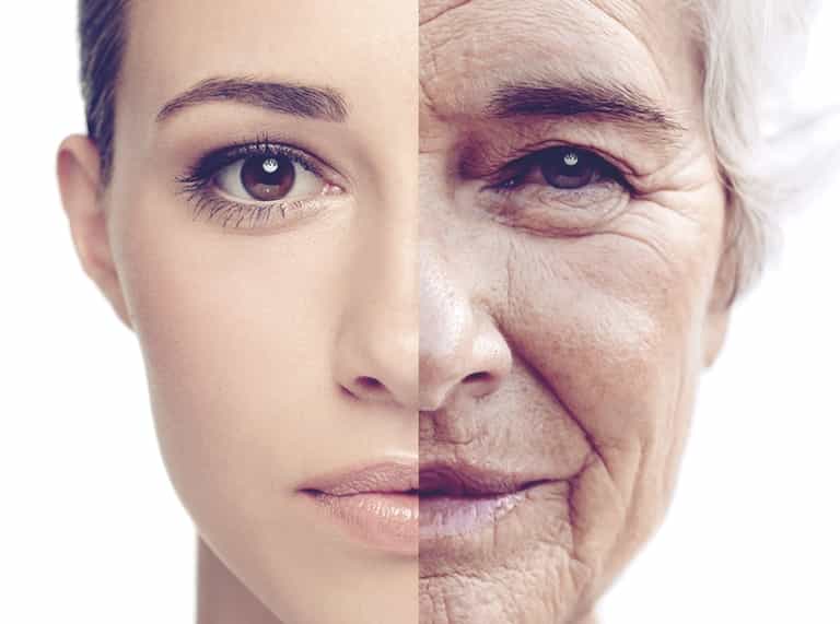 7 filling foods that slow the ageing process 7 filling foods that slow the ageing process