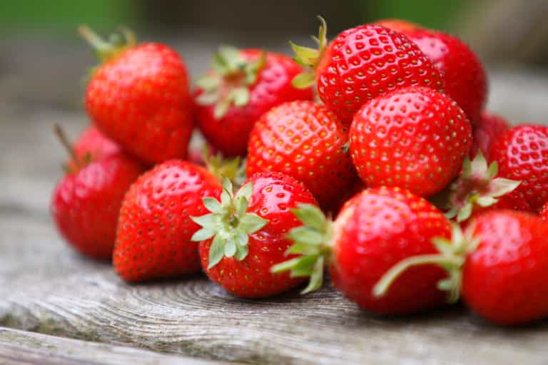 Like a munch between meals? Here’s 15 snacks that are all less than 50 calories Like a munch between meals? Here’s 15 snacks that are all less than 50 calories