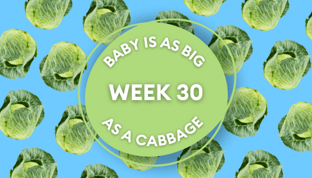 Your baby at 30 weeks pregnant: Week-by-week guide to development Your baby at 30 weeks pregnant: Week-by-week guide to development