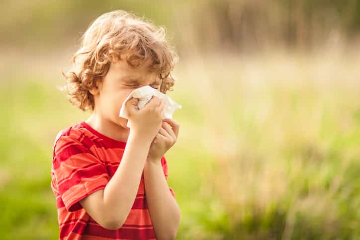The common bathroom essential that can help prevent hay fever The common bathroom essential that can help prevent hay fever