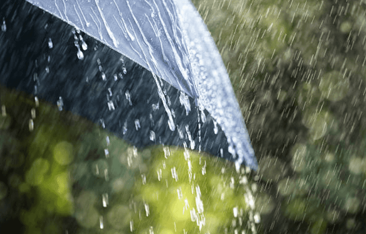 The weather forecast shows that we’re in for a day full of rain and thunder The weather forecast shows that we’re in for a day full of rain and thunder