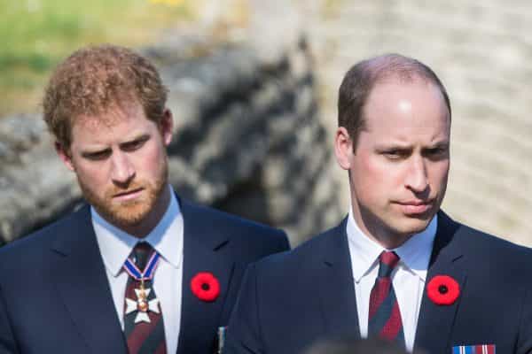 This is why Prince Harry and Prince William don’t work together anymore This is why Prince Harry and Prince William don’t work together anymore