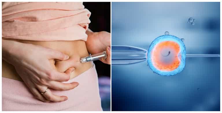 Fertility treatment: New discovery pinpoints ‘golden window’ for IVF success Fertility treatment: New discovery pinpoints ‘golden window’ for IVF success