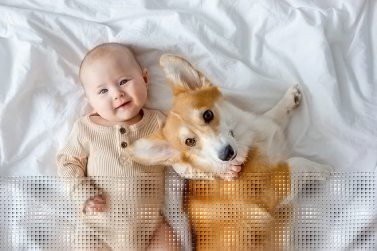 ‘My baby is allergic to our beloved dogs and now I don’t know what to do’ ‘My baby is allergic to our beloved dogs and now I don’t know what to do’