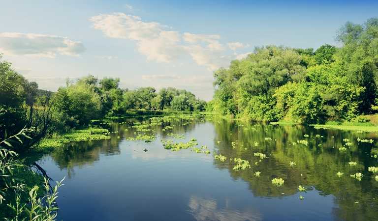 Police rescued a missing child who was waist deep in freezing water Police rescued a missing child who was waist deep in freezing water