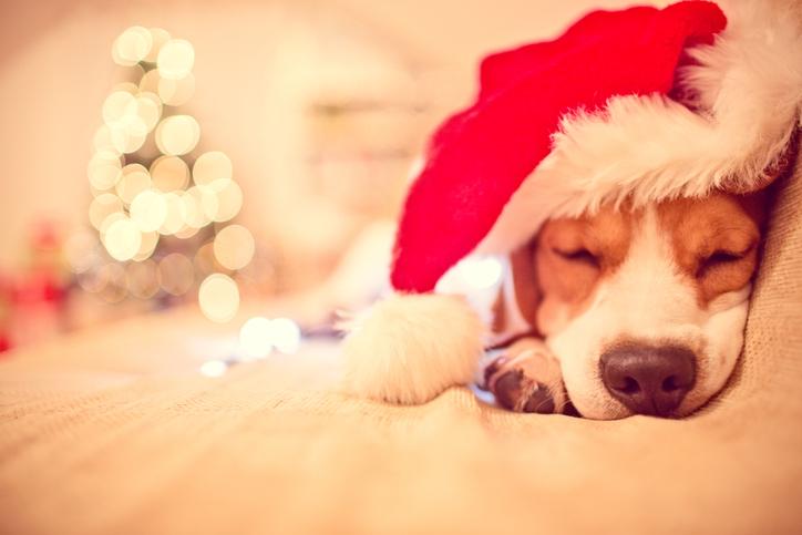 How get the most sleep possible ahead of Santa’s visit this Christmas Eve How get the most sleep possible ahead of Santa’s visit this Christmas Eve