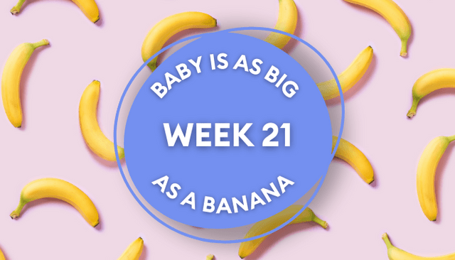 Your baby at 21 weeks pregnant: Week-by-week guide to development Your baby at 21 weeks pregnant: Week-by-week guide to development