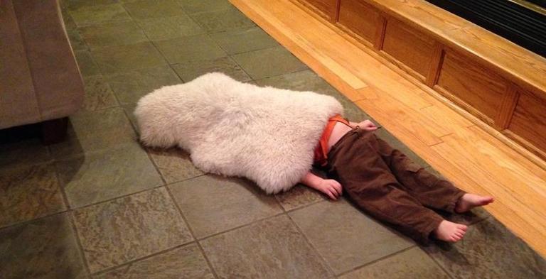 7 Absolute Hide ‘n’ Seek Pros At The Top Of Their Games 7 Absolute Hide ‘n’ Seek Pros At The Top Of Their Games